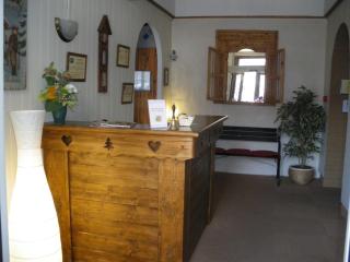 Hotel du Mont Blanc - Sallanches - 5