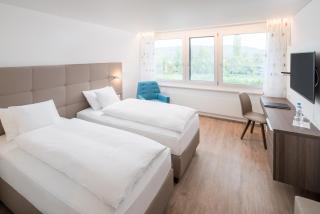 Hotel Al Ponte - Wangen an der Aare - 3
