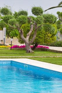 B&B QuattroStelle - Cavallino di Lecce - 3