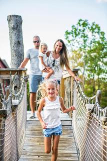 WaterMill Cove Resort Lakefront Lodge 8Bed 8BA FREE Amenities 2 miles to SDC - Branson - 5