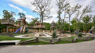 WaterMill Cove Resort LAKEFRONT Cabin 2 mi to Silver Dollar City Pools Mini Golf - Branson - 8