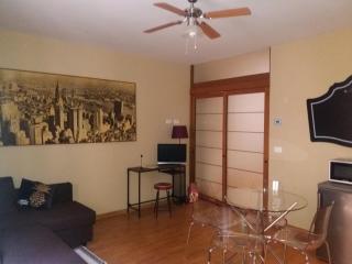 Sweet Saragozza apartment - Bologna - 0