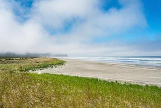 Long Beach Camping Resort Studio Cabin 3 - Seaview - 4