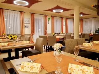 Hotel-Gasthaus zur Eiche - Hausach - 8
