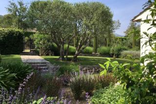 La Lavande - Tourrettes-sur-Loup - 3