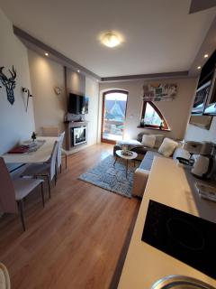 Apartament Morskie Oko - Kościelisko - 2