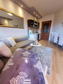 Apartament Morskie Oko - Kościelisko - 7