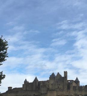 Les Orchidées - Carcassonne - 9