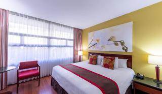 Hotel Palma Real - San José - 5
