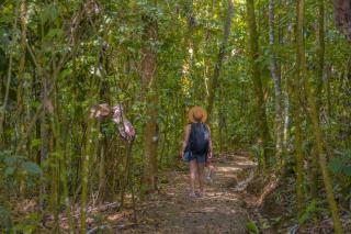 La Tigra Rainforest Lodge - 5