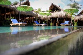 The Calmtree Bungalows - Canggu - 3