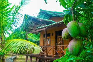 YalaWay Nature Villa - Tissamaharama - 0