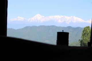 Khali Estate - Binsar - 6
