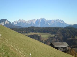 Appartement Margreiter - Niederau - 7
