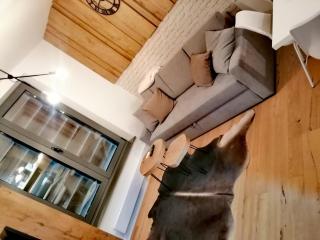 Apartments FRUTIS - 1