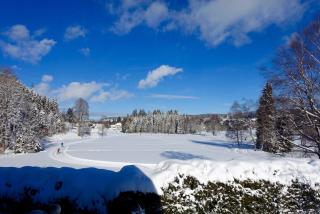 Hollhouse - Bed & Breakfast - Hinterzarten - 1