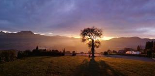 Gesundheitshof Lohninger - Mondsee - 3