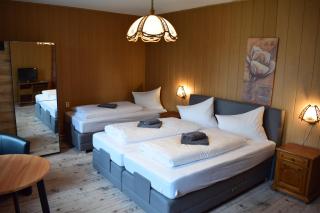 Landhotel "Lichte Aue" Lichtenau - Stützengrün - 1