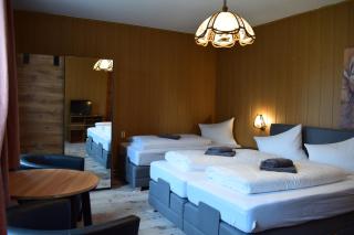 Landhotel "Lichte Aue" Lichtenau - Stützengrün - 3