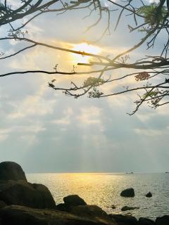 Kuwona Cottage - Senga - 5