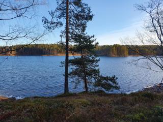 Pankkotupa 66 "13B" - Savonlinna - 7