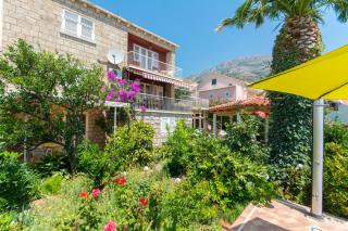 Apartments Green Harmony - Mlini - 8