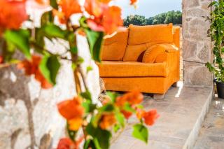 Finca Encanto - Vejer de la Frontera - 6