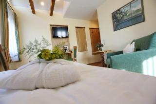Landhotel Villa Moritz garni - Oberahr - 2