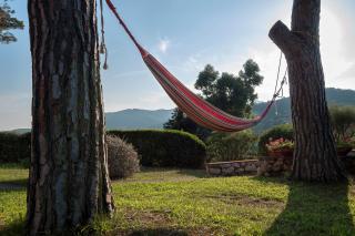 Il Grifo - Cozy house, wonderful view - Portoferraio - 5