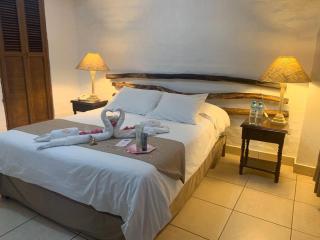 Hotel Sol de Ica - Ica - 7