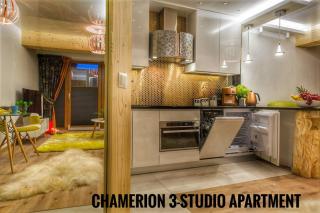 Polana Szymoszkowa Ski Resort - Chamerion Apartments - Zakopane - 8