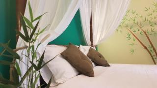 Tacacori EcoLodge - Alajuela - 9