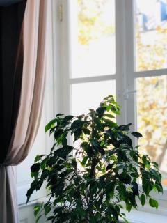 H&B apartments Plekhanova - 3