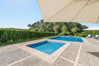 El Palmeral - Petra - 4