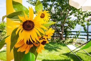 Appartamento Giada - Tremosine Sul Garda - 1