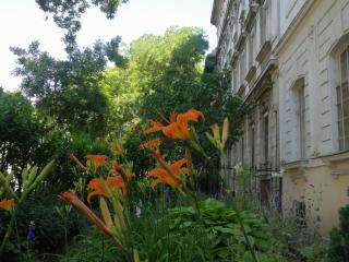 White Rose apartment - Budapest - 8