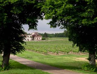 Maisonnette au coeur d'un vignoble - 6