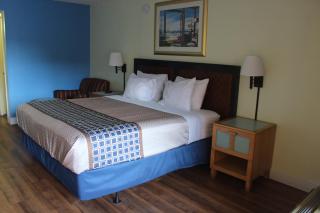Tampa Inn Near Busch Gardens - Tampa - 7