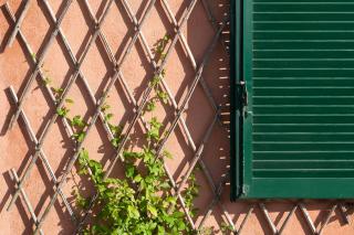Il Grifo - Cozy house, wonderful view - Portoferraio - 3