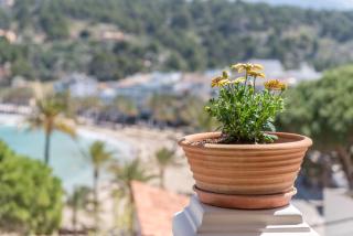 Can Joi - Sóller - 7