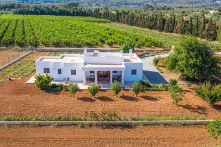 Casa Cristina Ibiza - Sant Carles de Peralta - 0