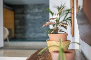 Wellness house - Santa Cruz de Tenerife - 3