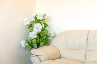 Casa Relax - 5