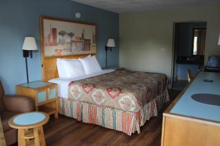 Tampa Inn Near Busch Gardens - Tampa - 4