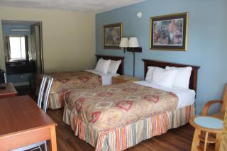 Tampa Inn Near Busch Gardens - Tampa - 5