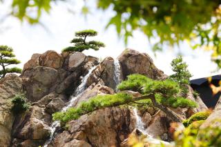 THE CHELSEA BREATH - Takamatsu - 1