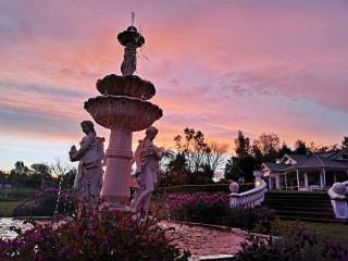 Country Villa Estate - 4