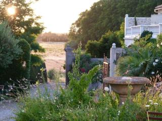 Château De Massignan - 9