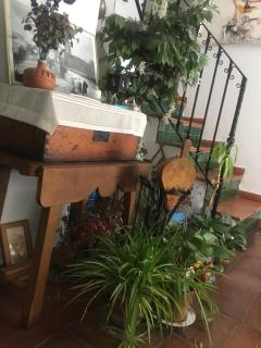 El Zaguan - 3