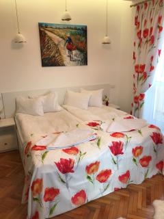 Victoria Luxury Apartment 11 - Bucharest - 1